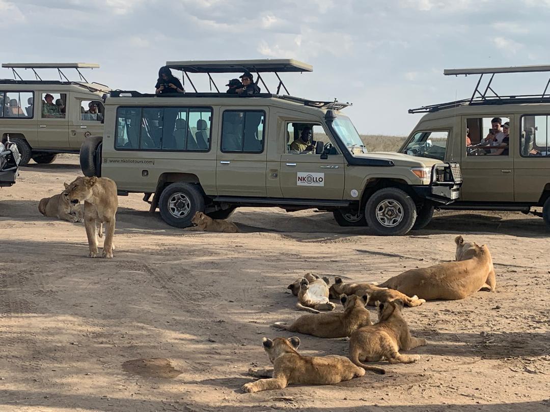 4-Day Tarangire, Serengeti &Ngorongoro Lodge Safari Tour