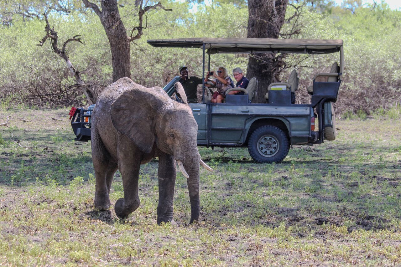 2天飞抵Nyerere National Park（Selous Game Reserve）游猎之旅