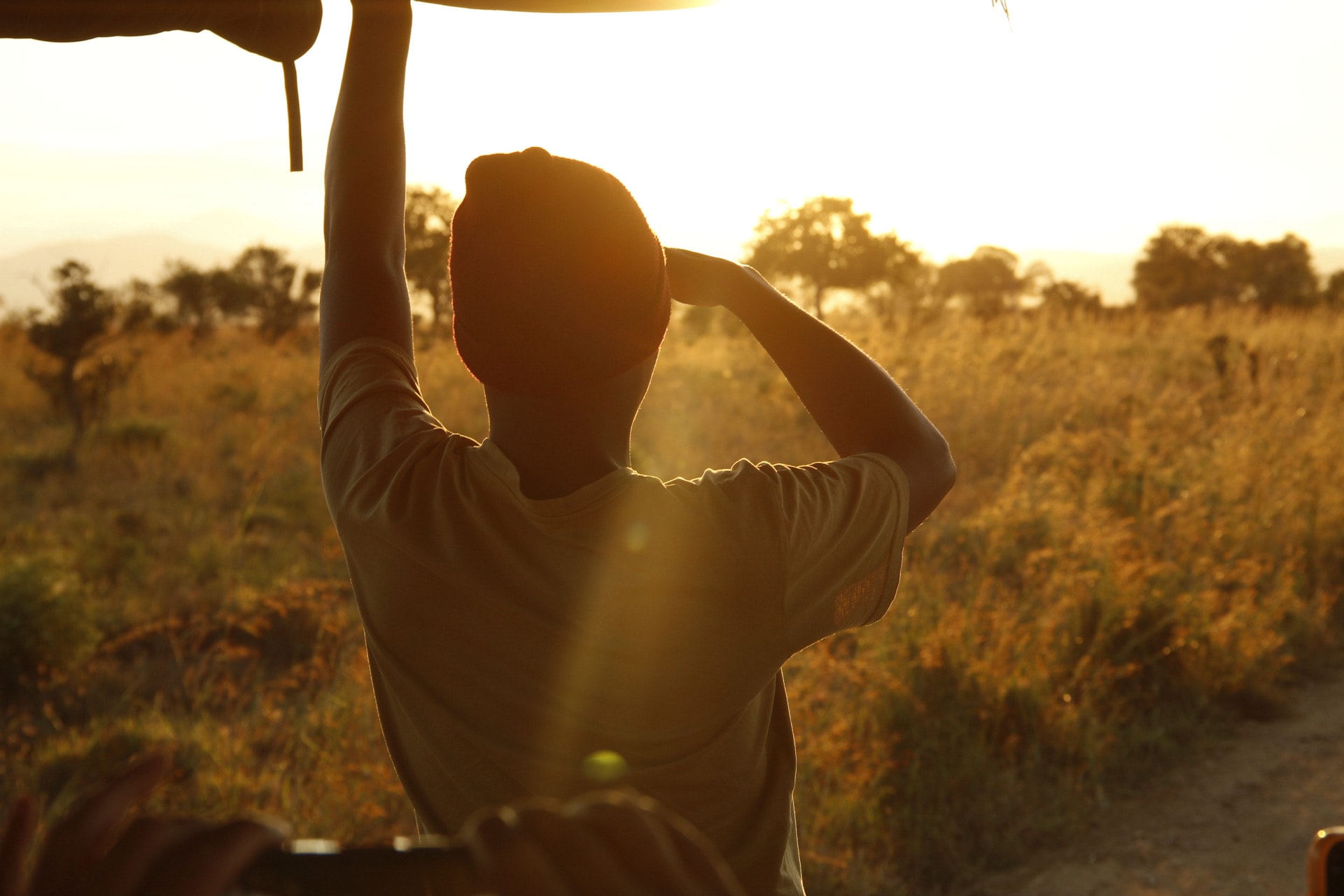 2-Day Mikumi Wildlife Safari Experience