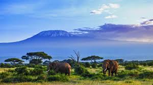 9-Day Best of Kenya