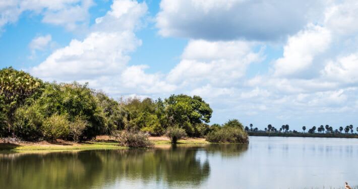 2-Day Zanzibar to Selous by Boat, Car & Back by Flight