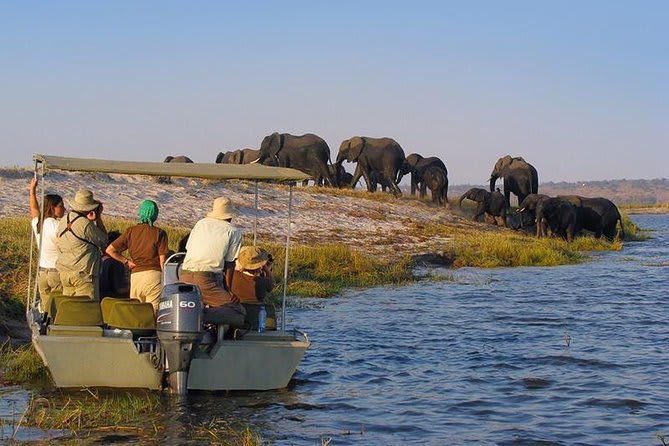 2-Day Fly-in Fly-out Zanzibar to Nyerere NP