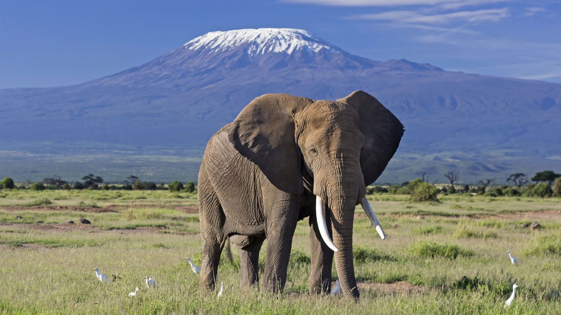 2-Day Amboseli National Park