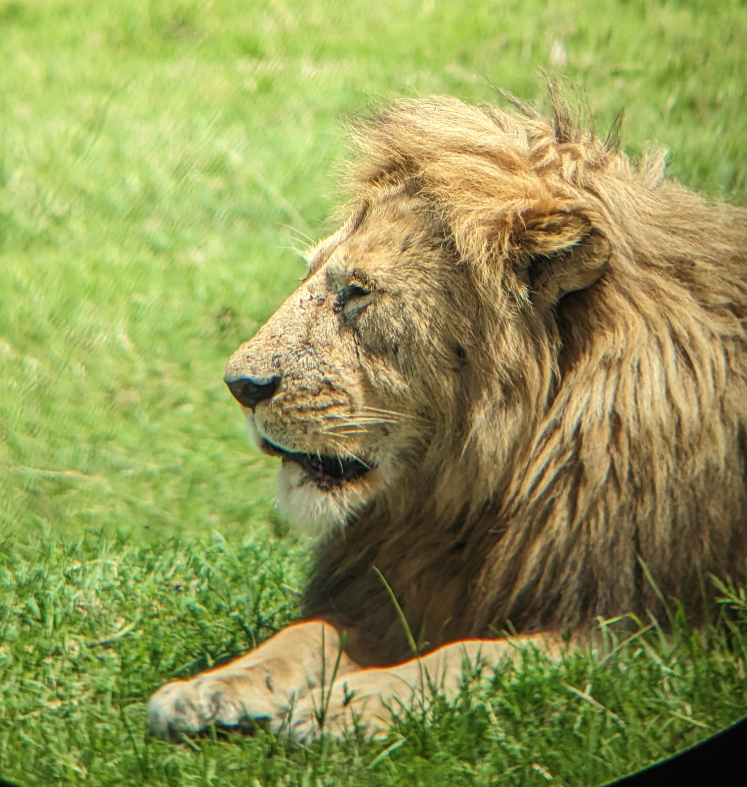 3-Day Amboseli by Train