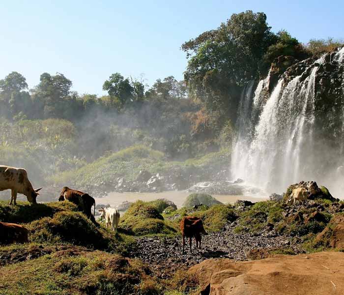Bahir Dar