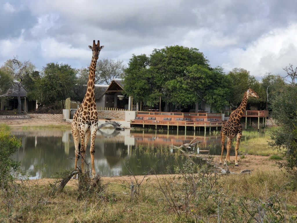 The Klaserie Private Nature Reserve
