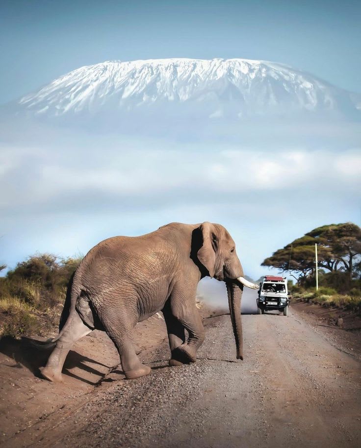 3-Day Amboseli Camping