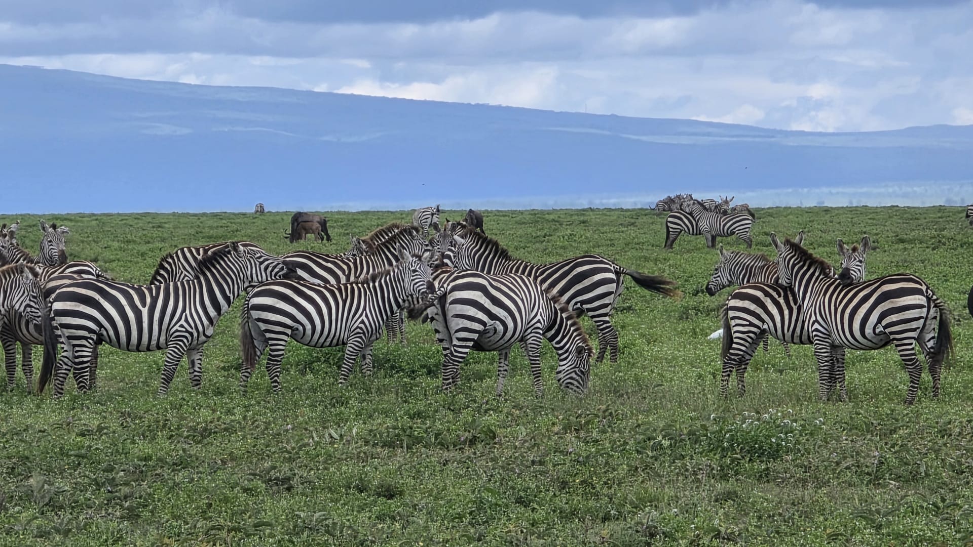 13-Day Wildebeest Migration Safari with Zanzibar (July to October)