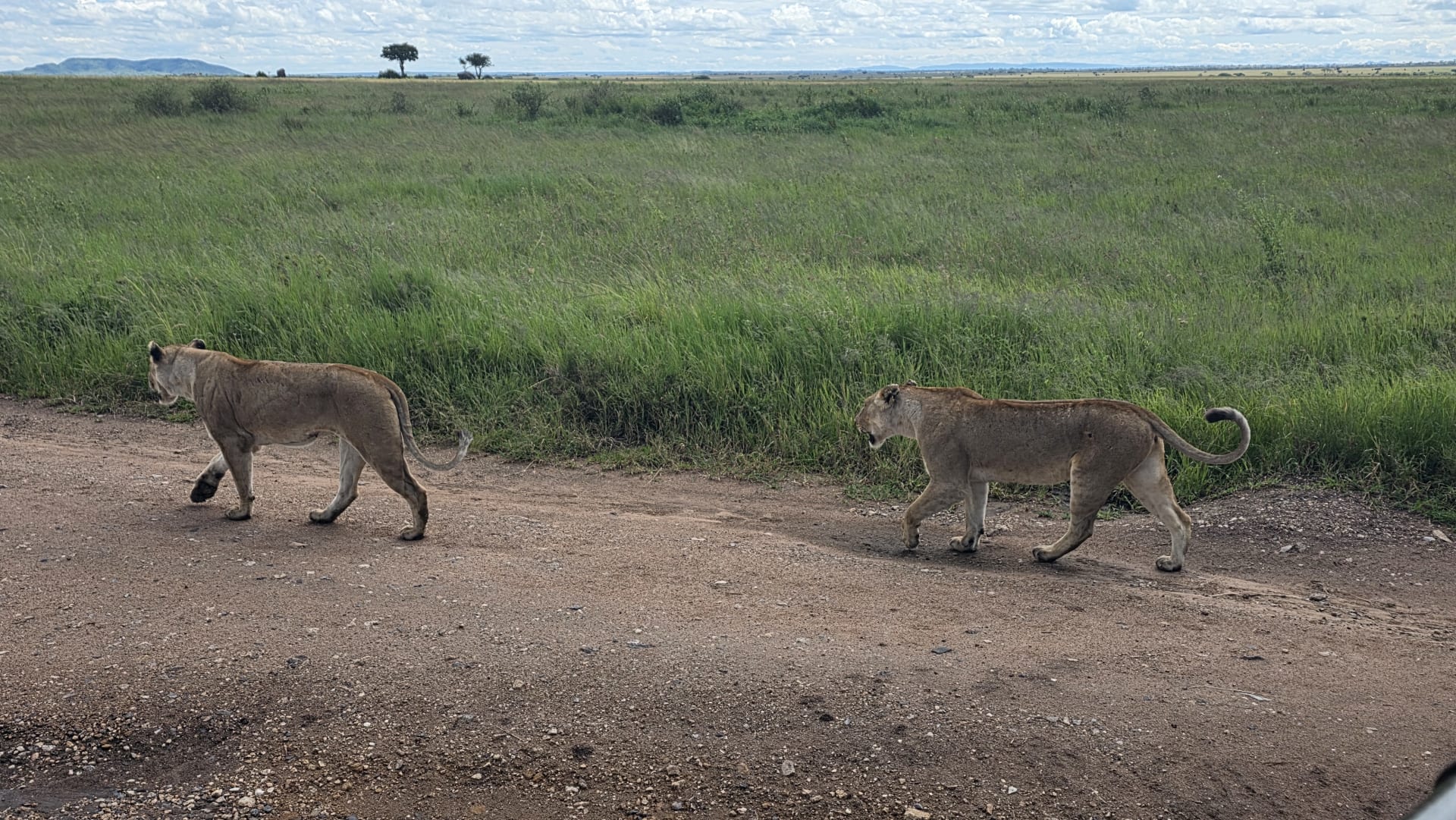 6-Day ADVENTURE SAFARI