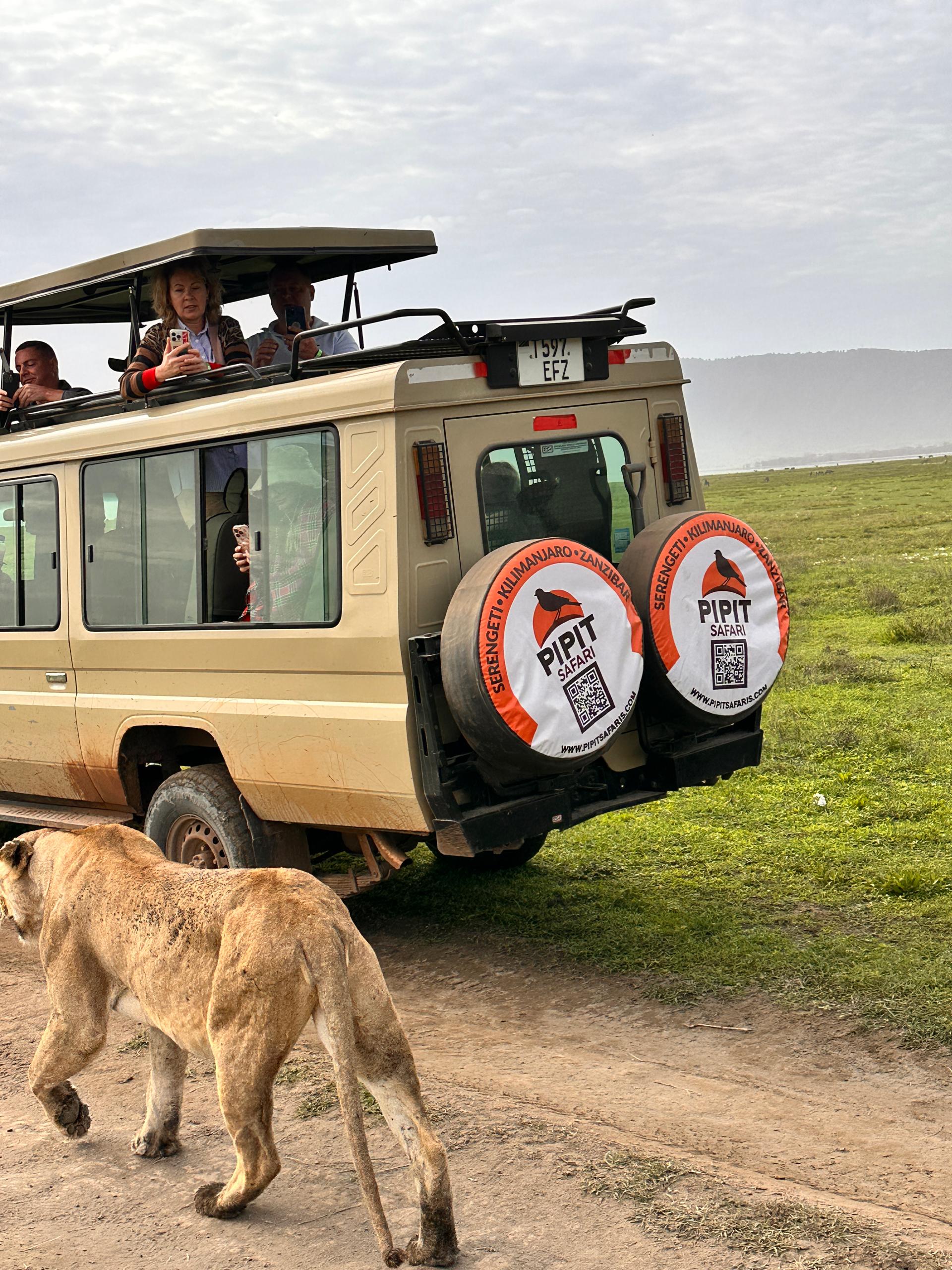 3-tägige Entdeckungstour durch die Serengeti und den Ngorongoro-Krater