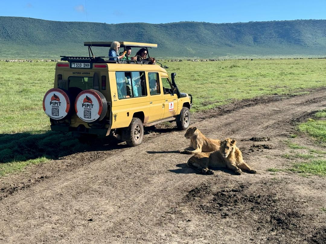 4-Day Tarangire, Serengeti and Ngorongoro Crater