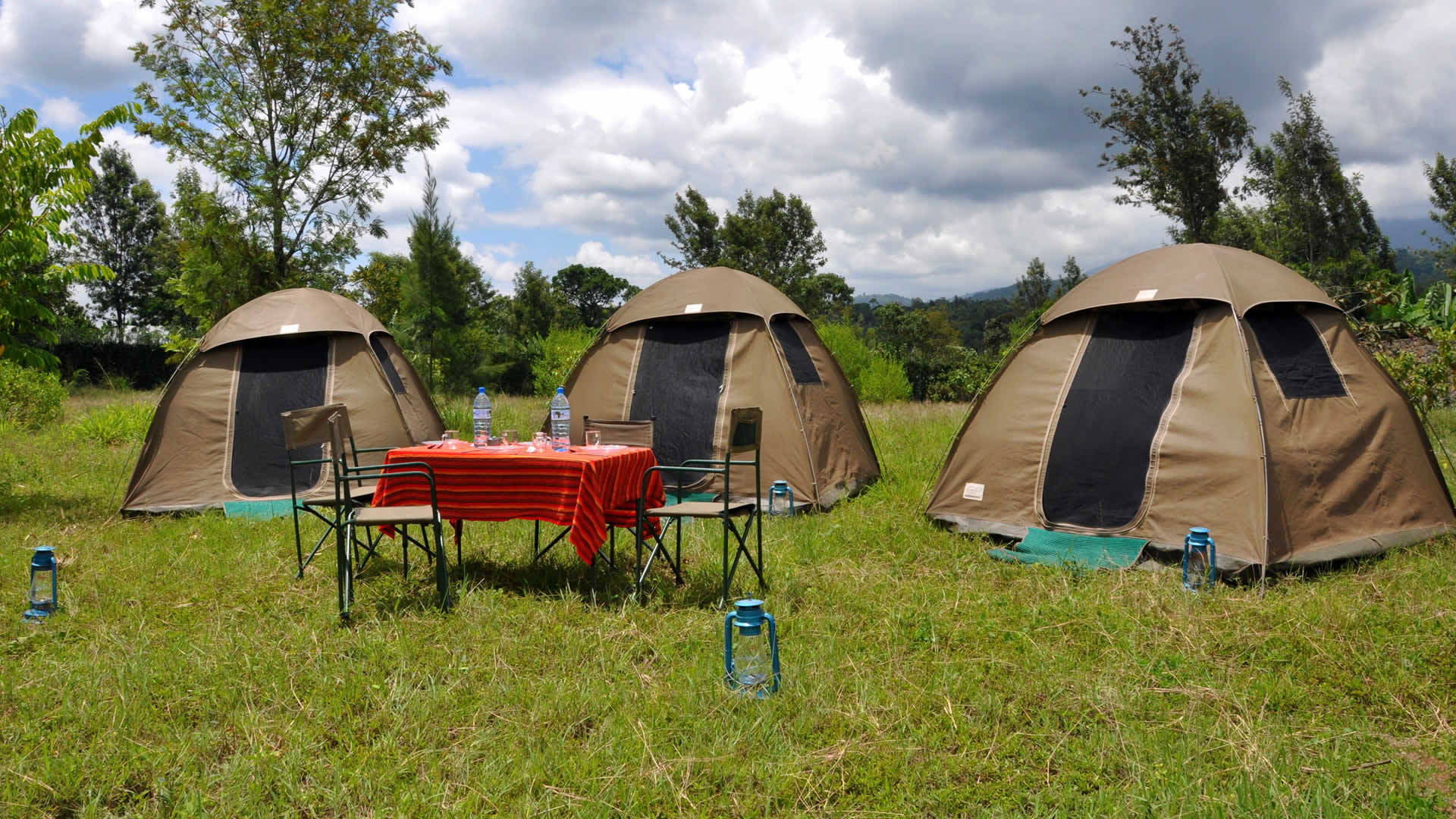 4-tägige klassische Tansania-Safari (Tarangire • Serengeti • Ngorongoro)
