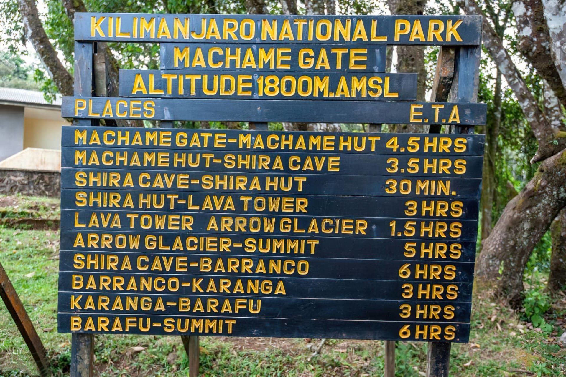 7-Day Kilimanjaro Climb – Machame Route (Whiskey Route • Scenic • Popular)