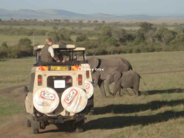 6-Day Magical Kenya Bush Safari
