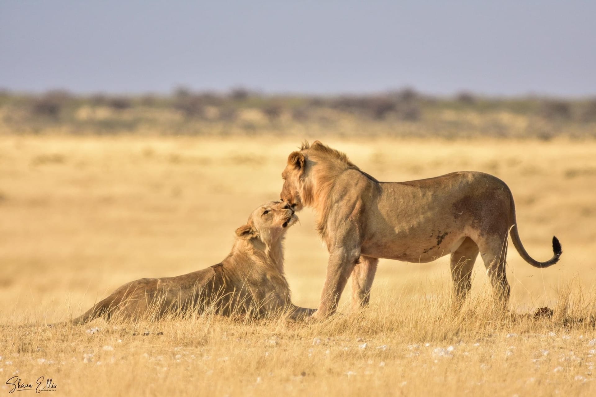 2-Day Tarangire and ngorongoro safari