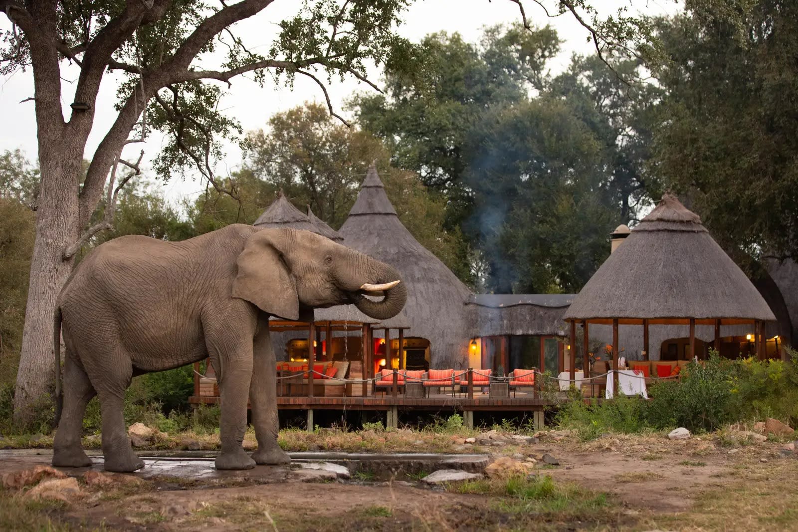5-Day Majestic & Comfortable Tanzanian Safari