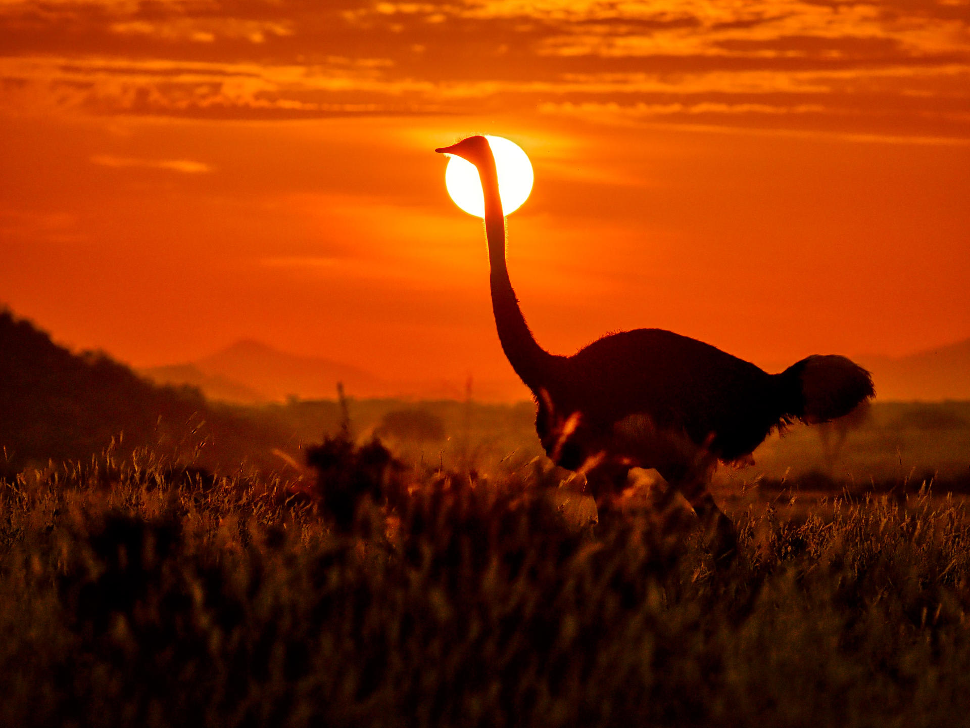 3-Day Budget Maasai Mara safari