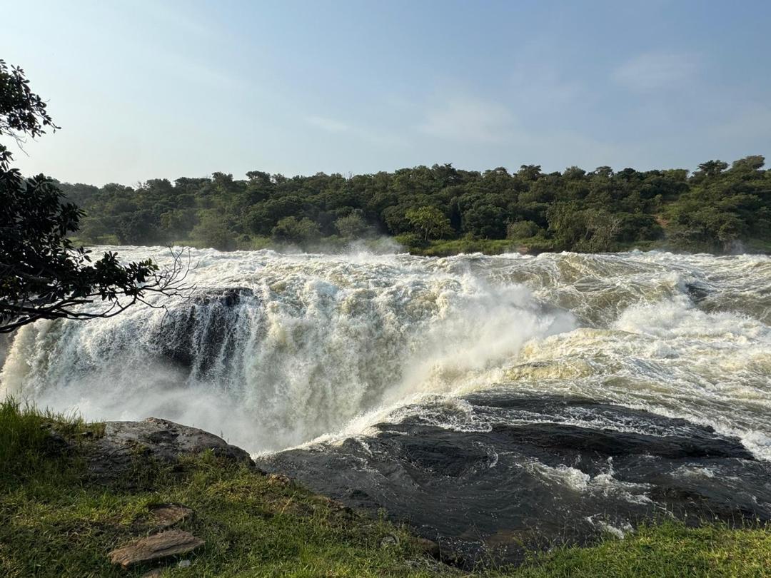 3-Day Murchison Falls Safari