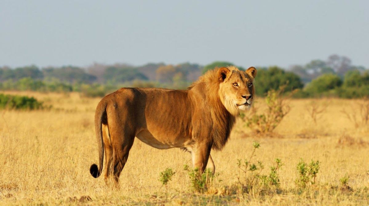 3-Day Thrilling Safari In Queen Elizabeth NP