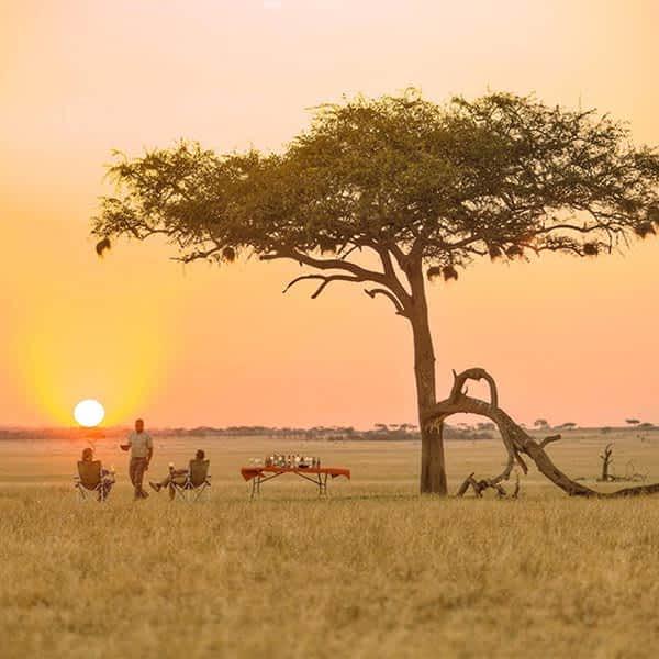 4-Day days of epic adventure through Tanzania’s wild heart!