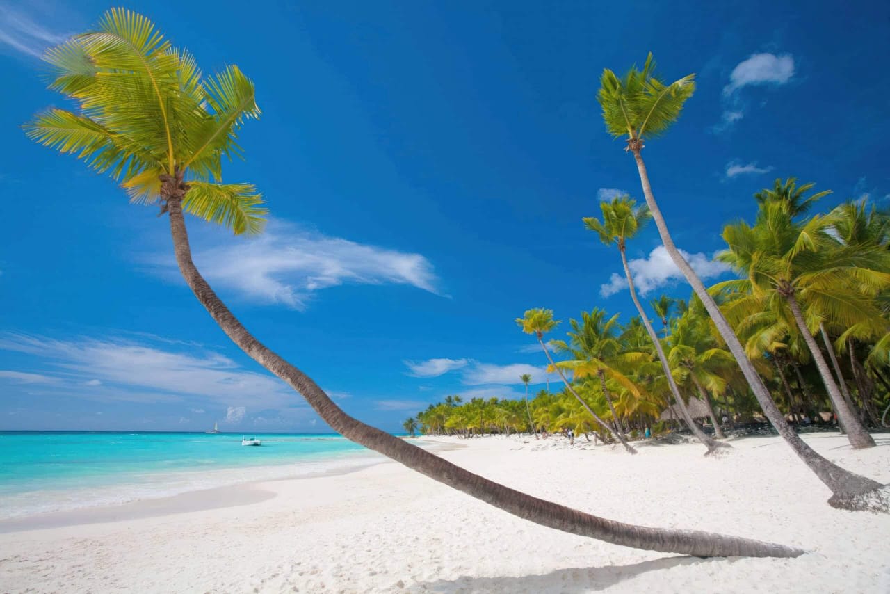 5-Day Honeymoon Safari Getaway