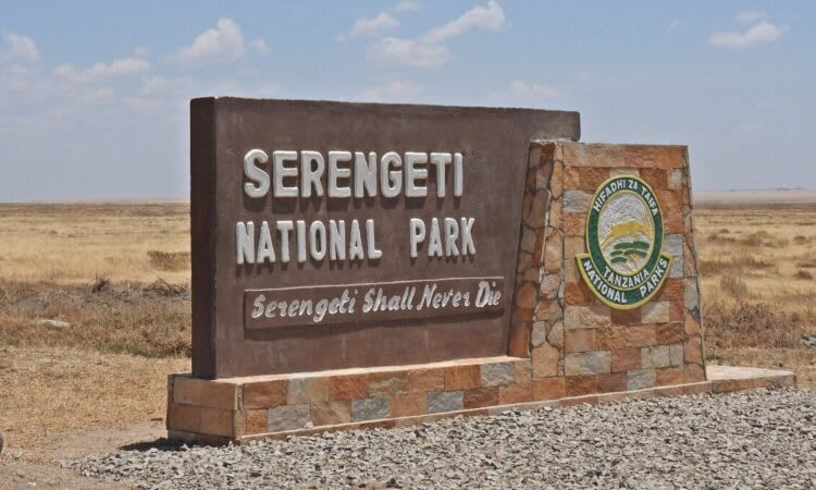 7-Day Elephant & Baobab Safari Experience