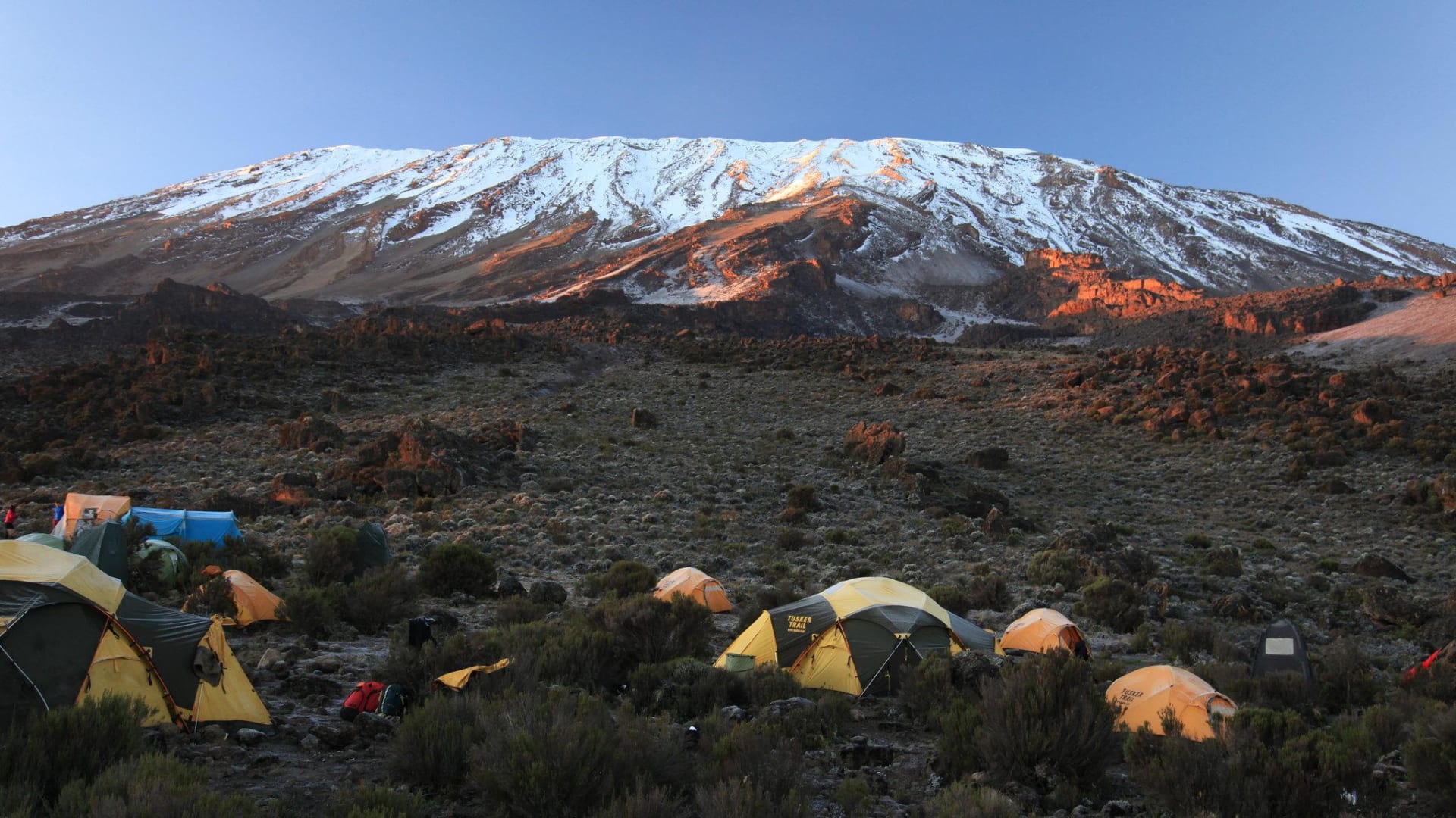 10-Day Northern Circuit Route Kilimanjaro Trek