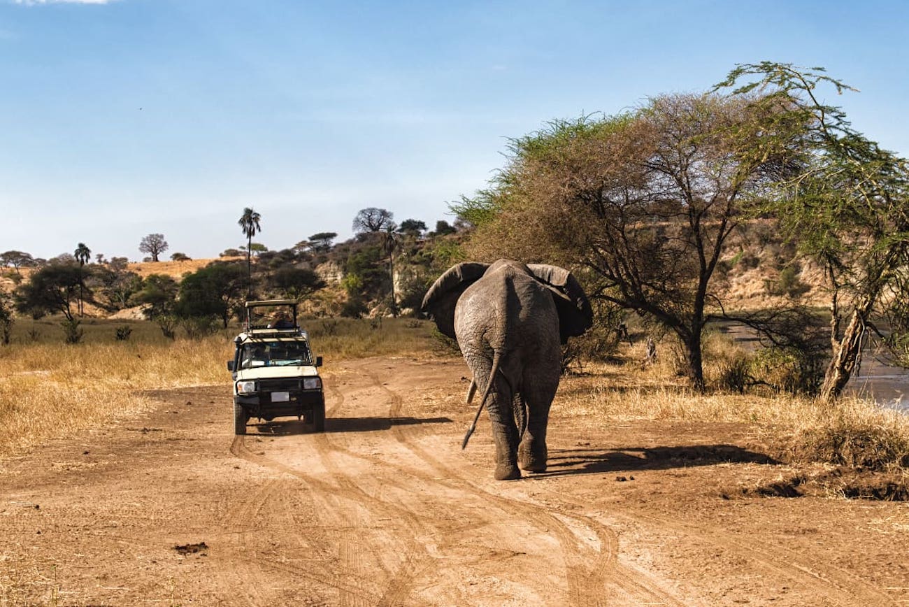 3-Day Big Five Serengeti & Ngorongoro Safari