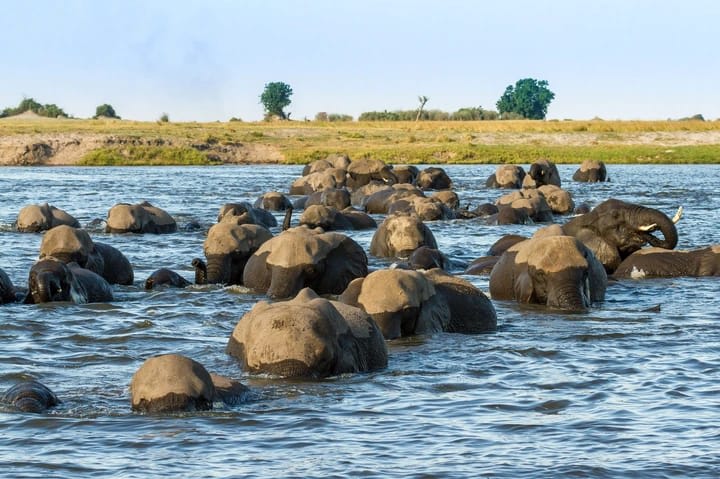 6-Day Northern Tanzania Safari – Serengeti, Ngorongoro & Big Five Adventure