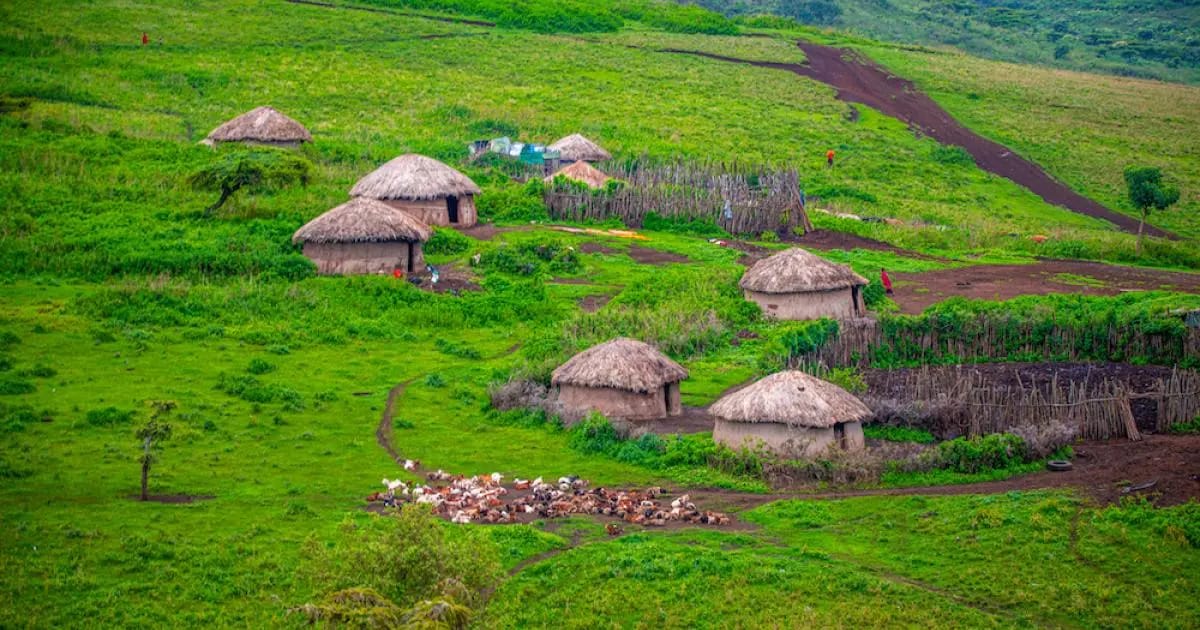 6-Day Northern Circuit Wildlife Safari