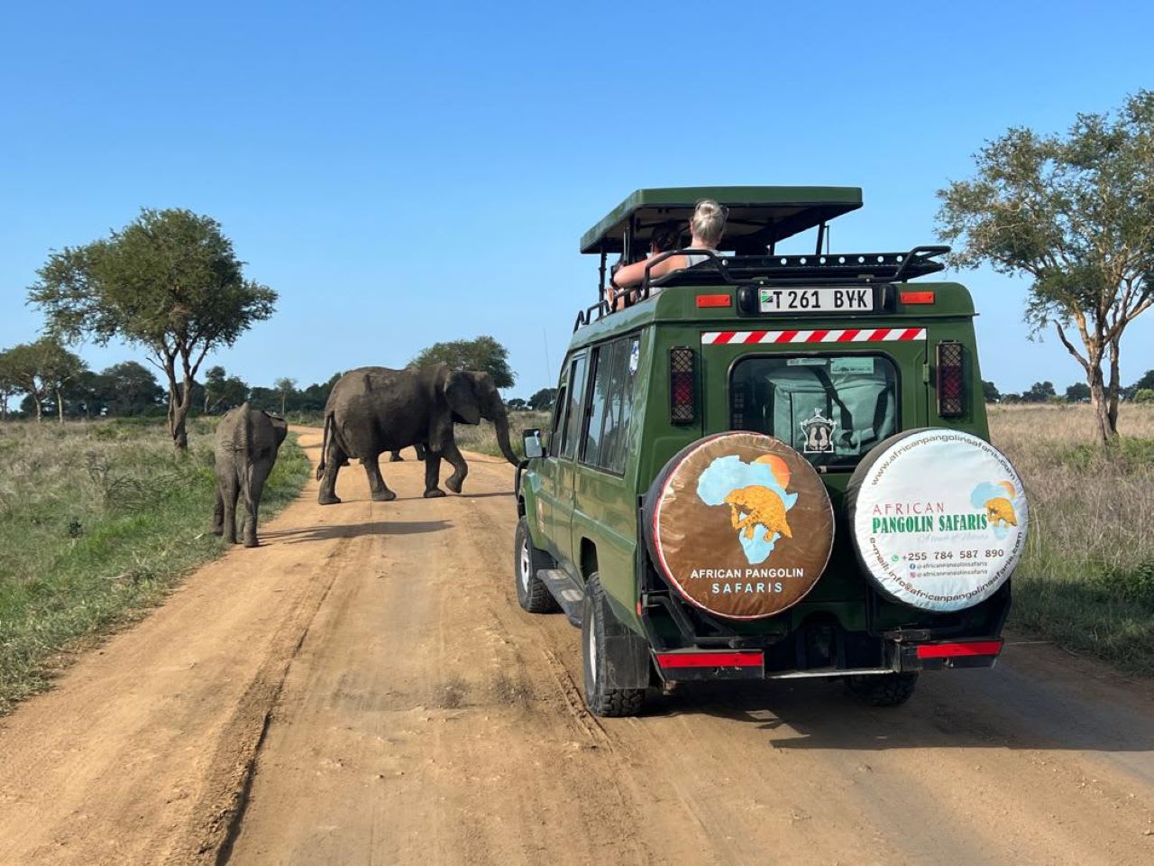 3-Day Mikumi National Park Plus Night Game Drive