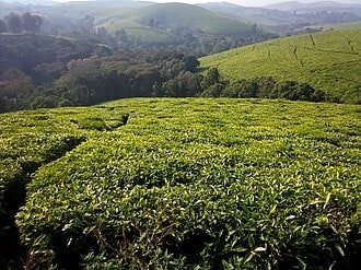 3-Day Best of Burundi Experience