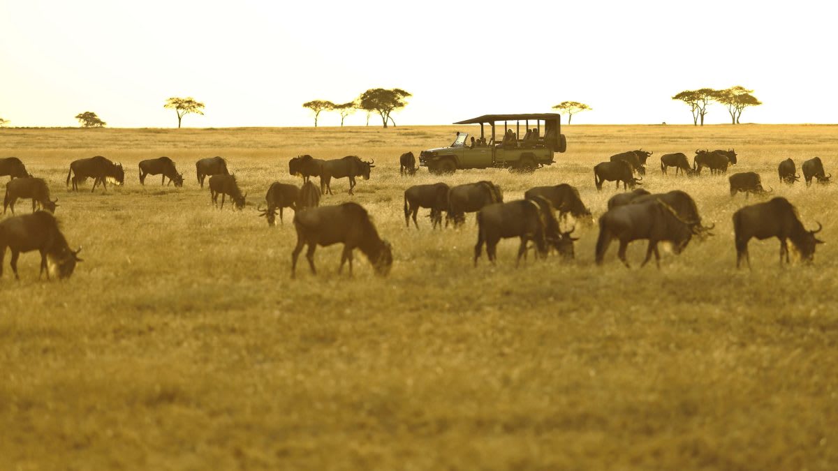 8-Day Great Migration Safari