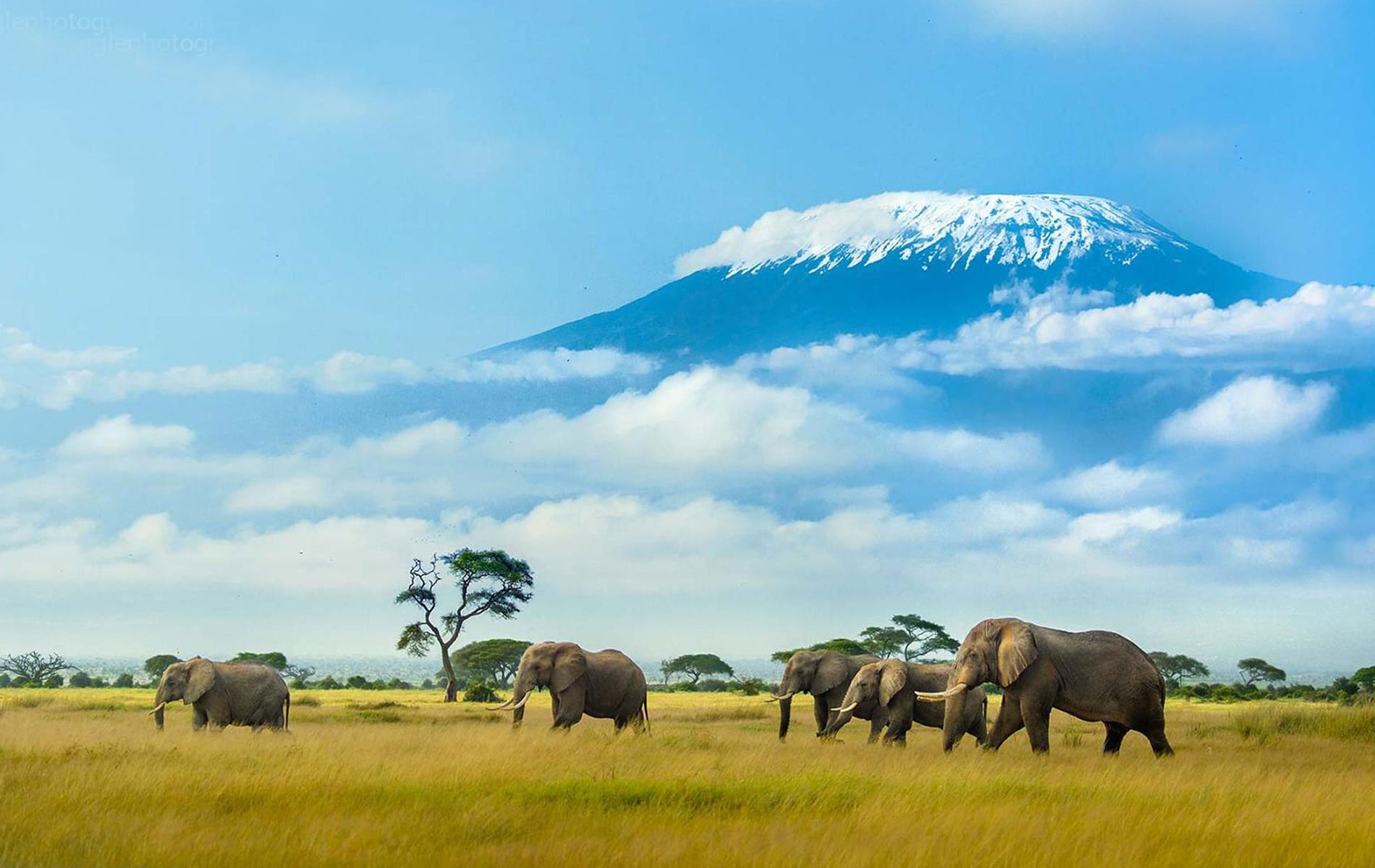 10-Day Kenya Wildlife Circuit