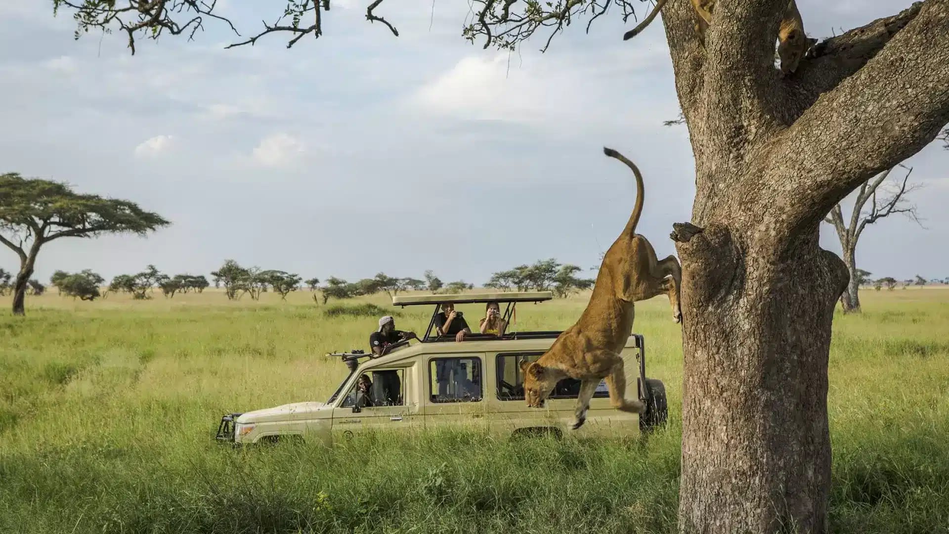 9-Day Signature Tanzania Safari Experience