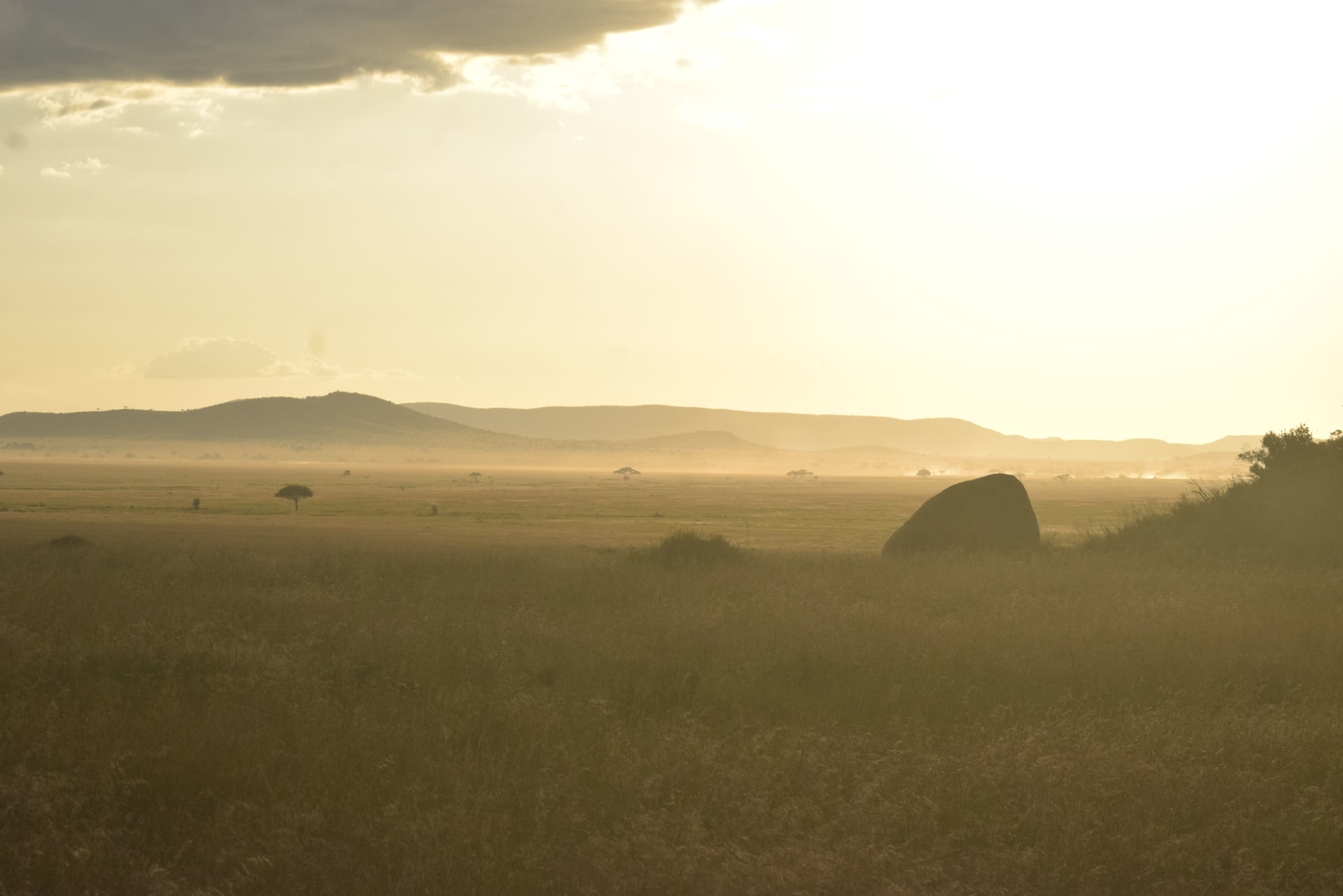 5-Day Classic Northern Circuit Safari (Tarangire, Manyara, Ngorongoro & Serengeti)