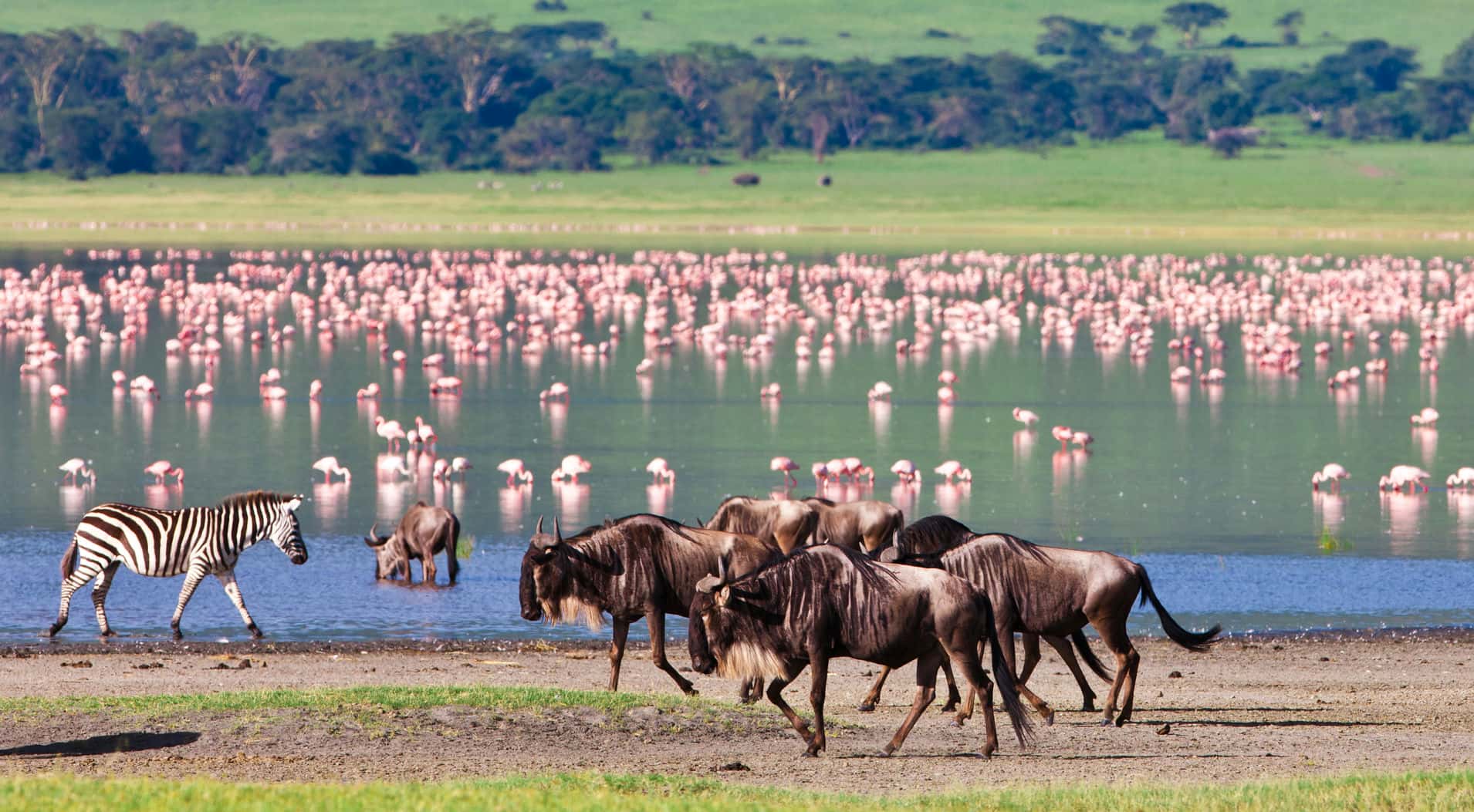 2-Day Tarangire & Ngorongoro Safari Escape