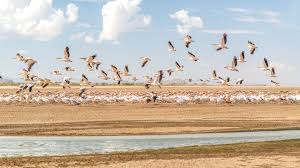 8-Day Tanzania Classic Safari