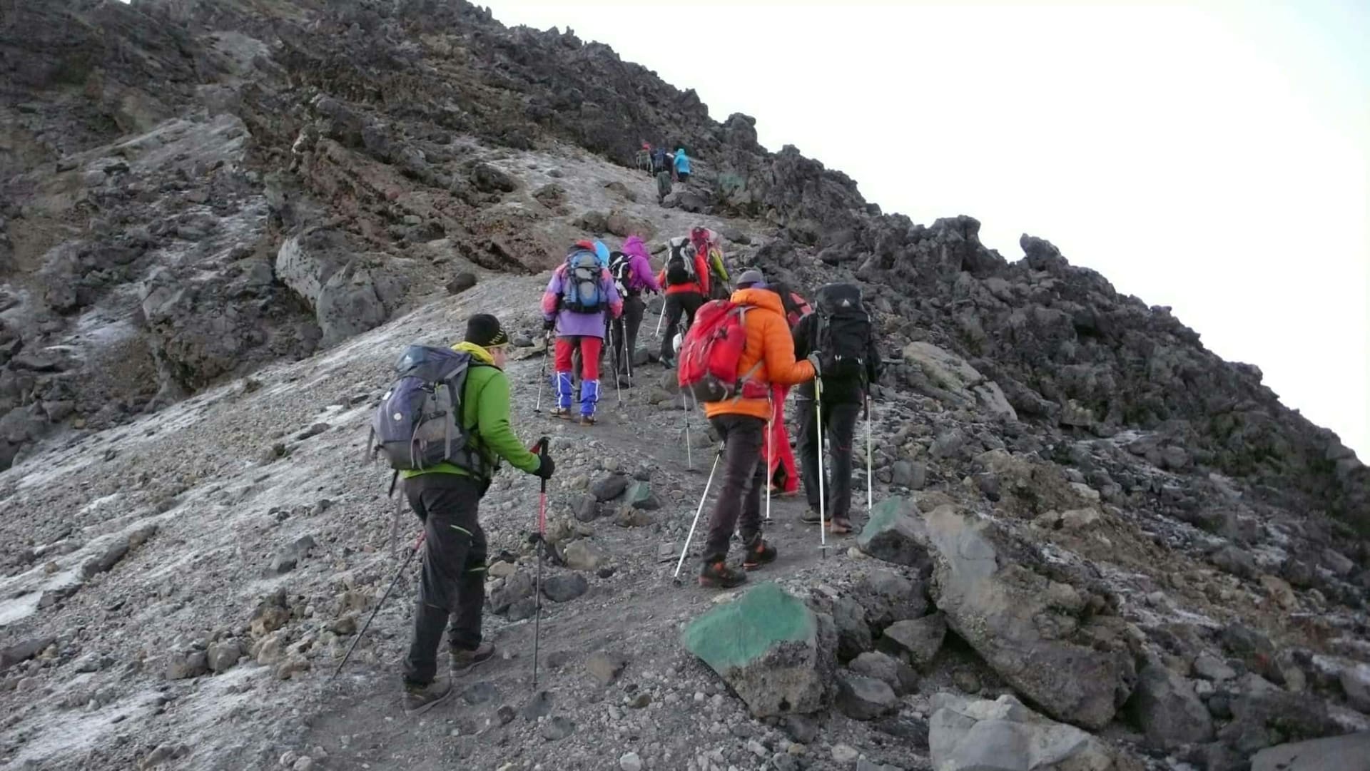 7-Day Kilimanjaro hike through Lemosho route