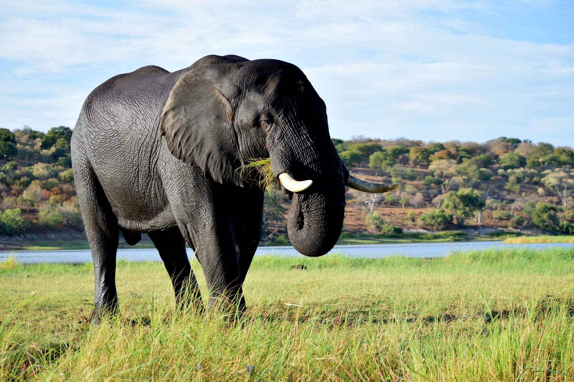 4-Day Victoria Falls safari tour