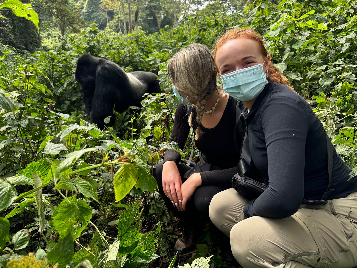 7-Day Short Vacation Package – Safari & Gorilla Trekking