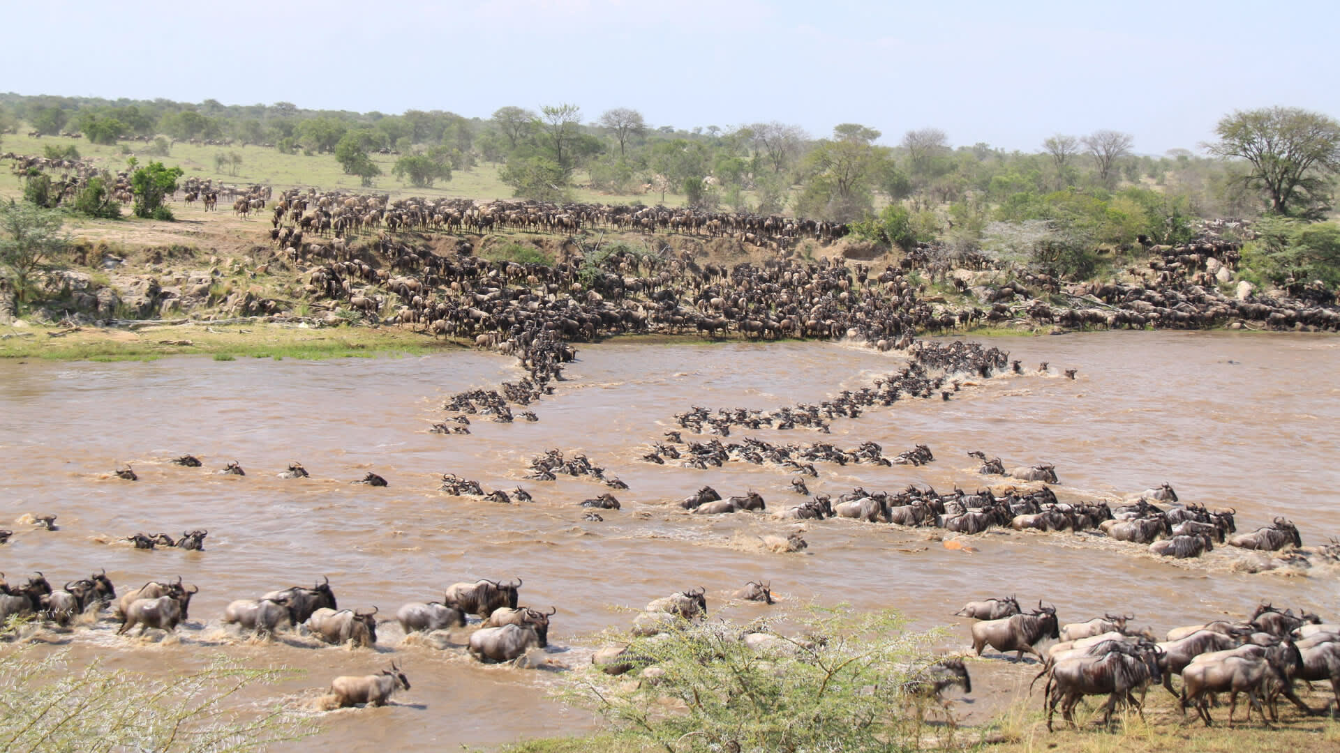 7-Day Mara River Crossing Safari