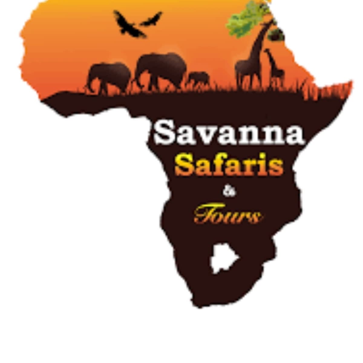 Savanna Safaris and Tours Botswana