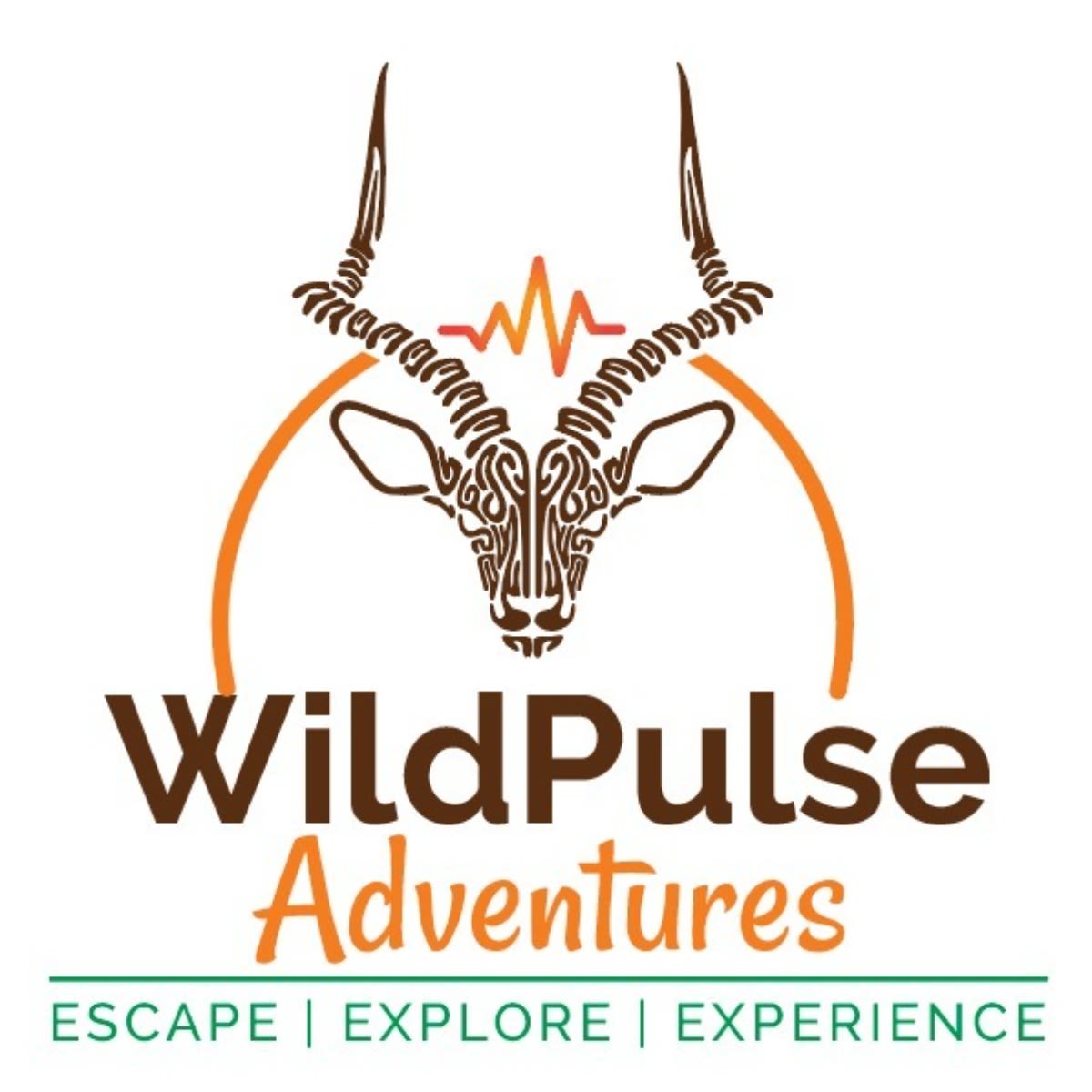 WildPulse Adventures