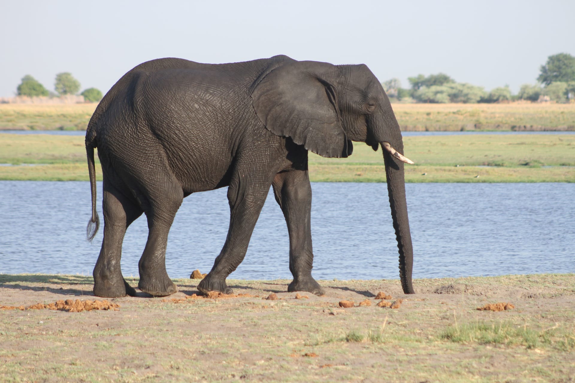 10-Day  Vic Falls Adventure, Chobe Park, Elephant sands & Okavango Delta