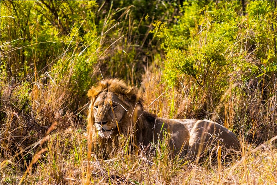 Kidepo Valley National Park