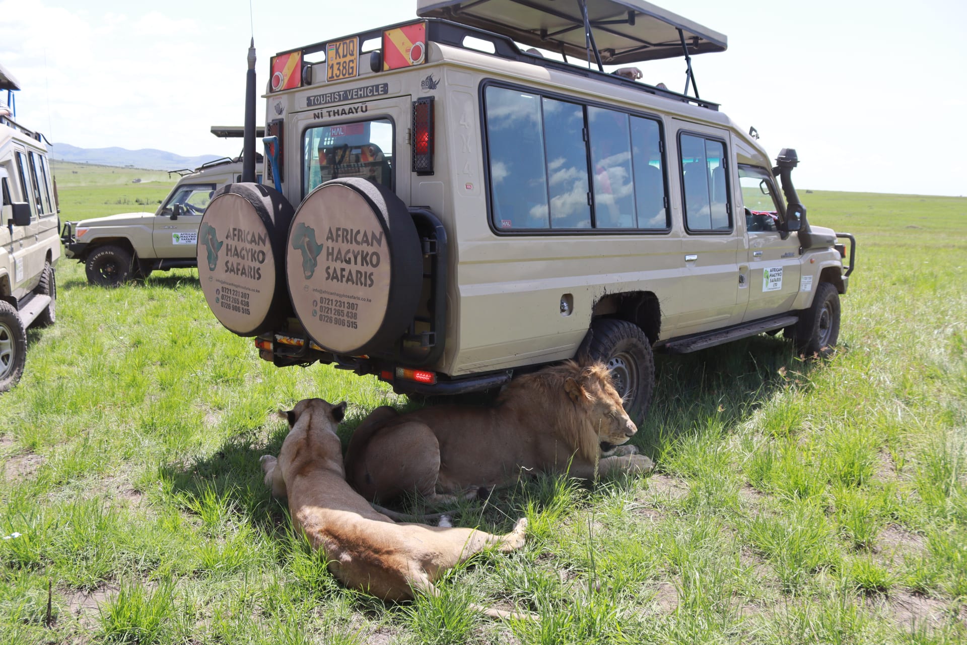 4-Day Masai Mara National Reserve in Kenya