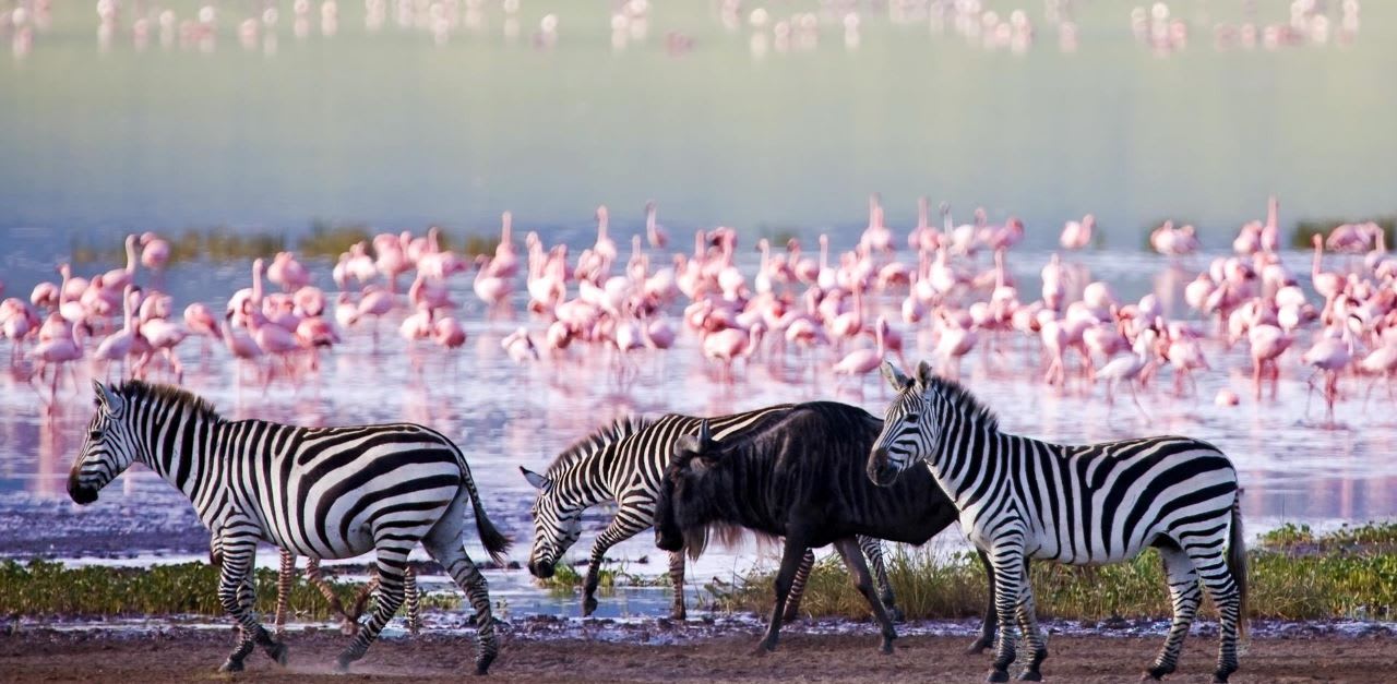 3-Day Tanzania Safari: Big Five & Indigenous Culture