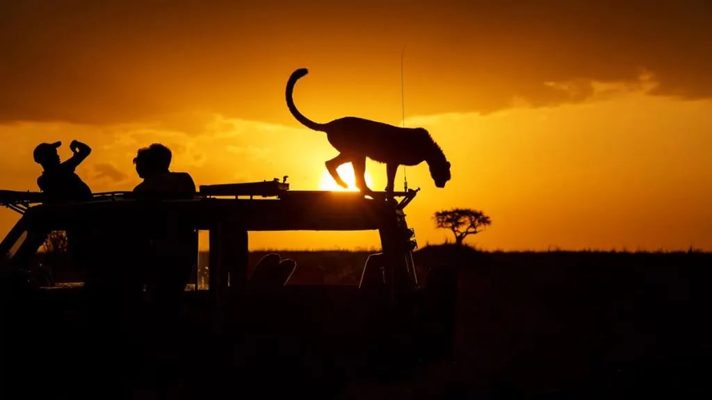 Olare Motorogi Conservancy