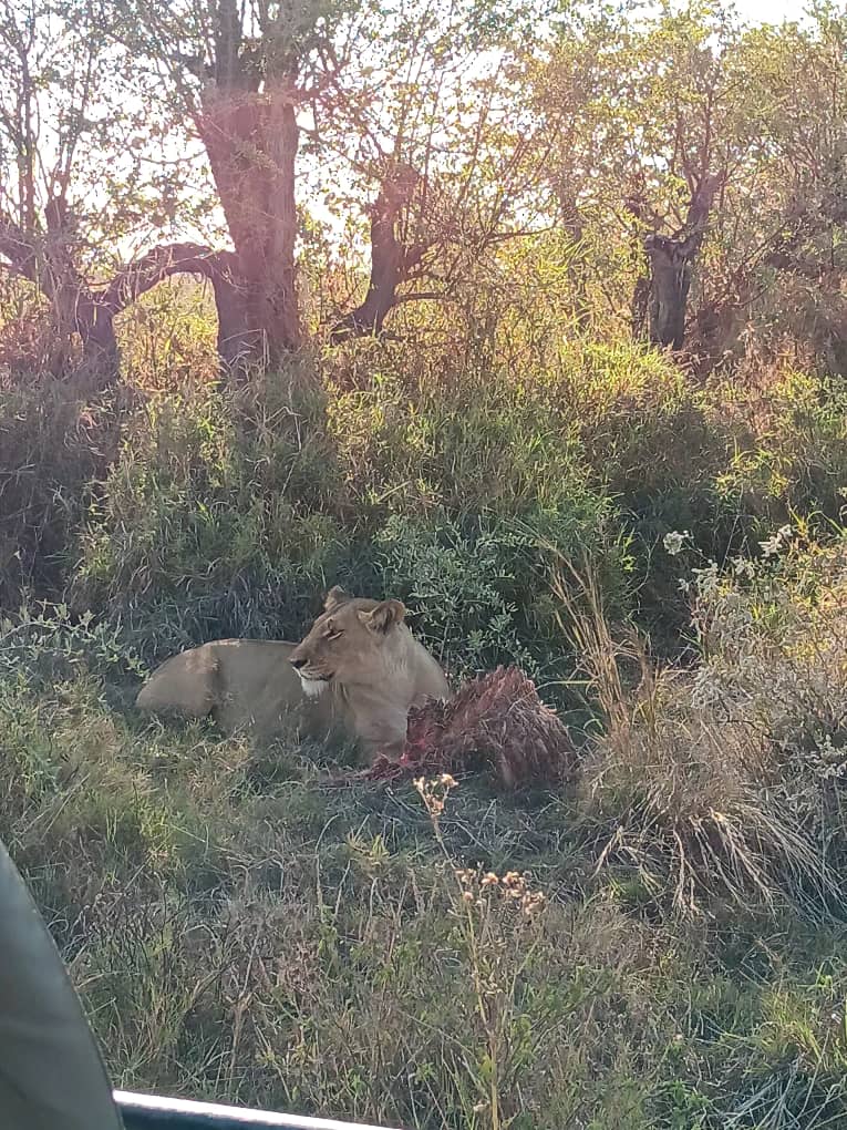 1-Day Okavango Delta Exploring Trip in Botswana
